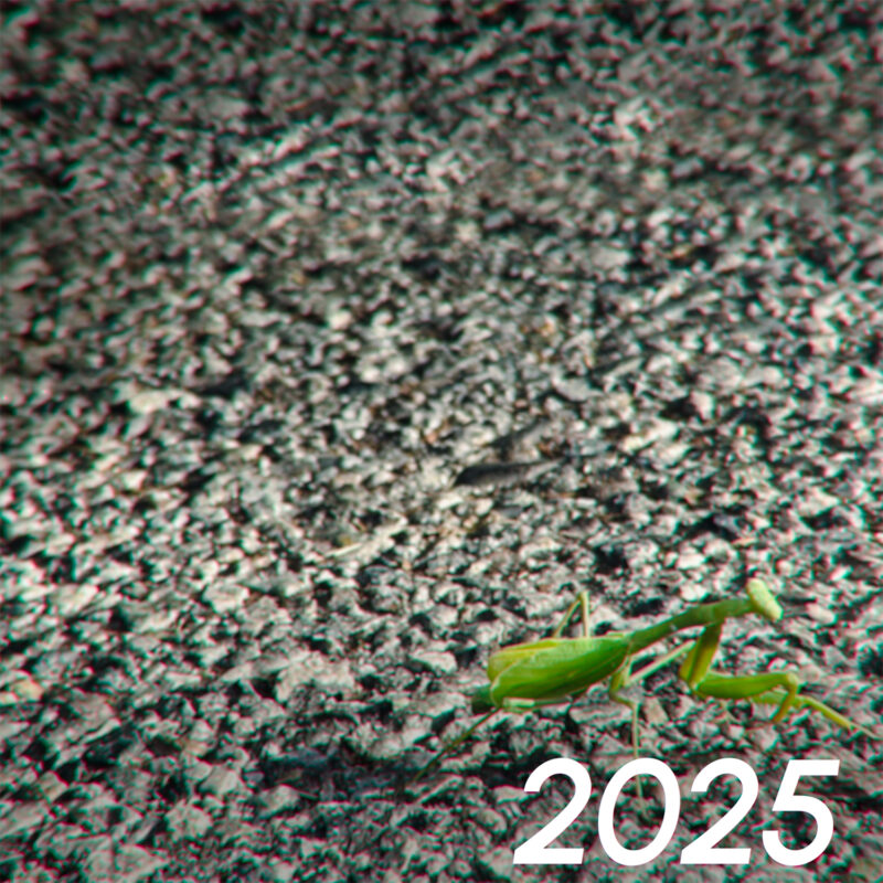 2025_cover 2025_cover